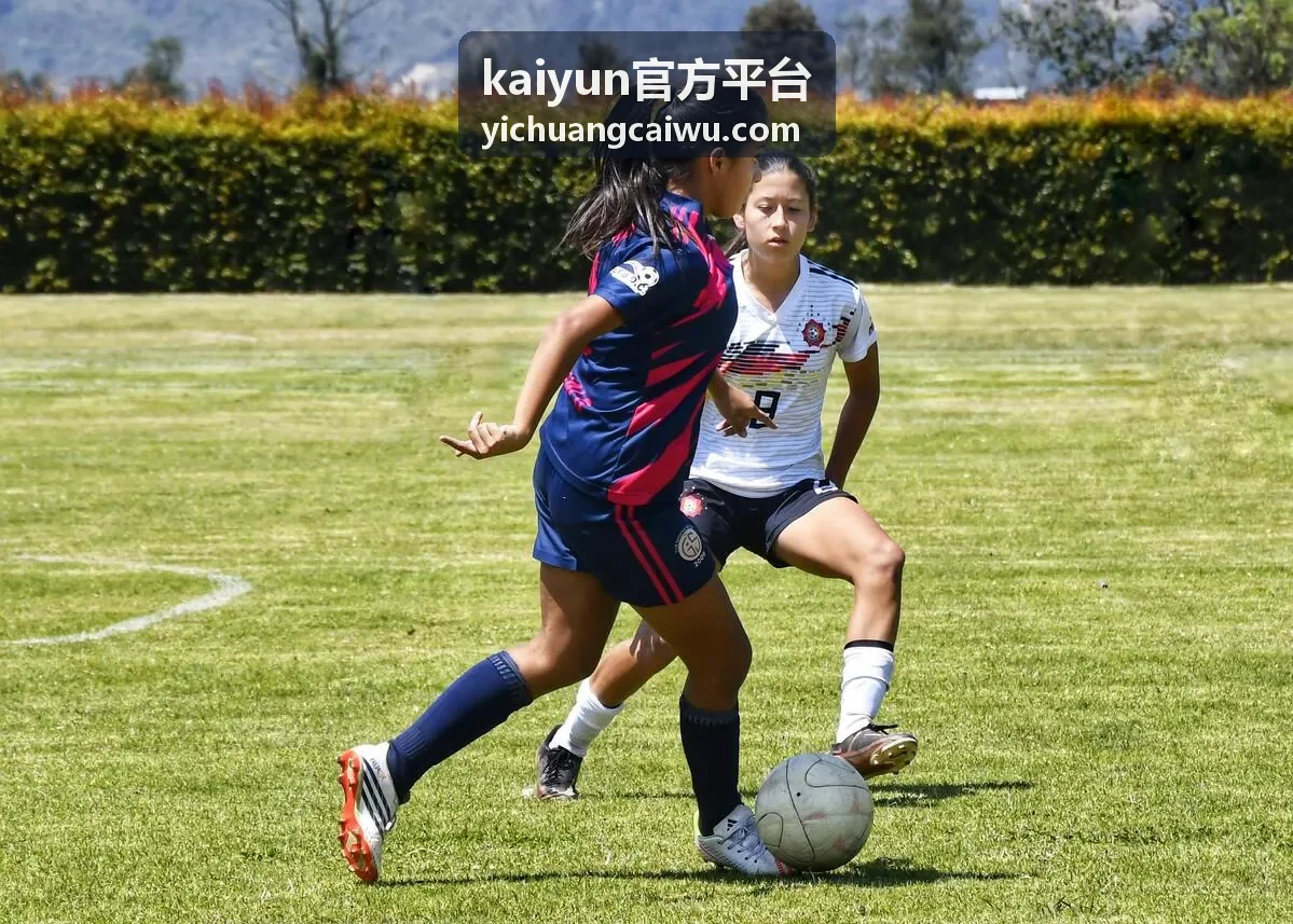 kaiyun官方平台中小企业标准接入场景示意