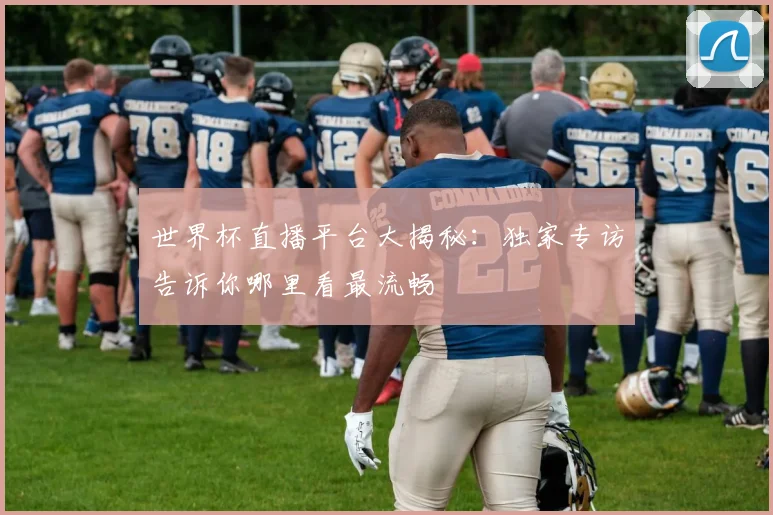 世界杯直播平台大揭秘：独家专访告诉你哪里看最流畅