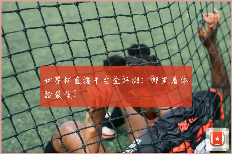 世界杯直播平台全评测：哪里看体验最佳？