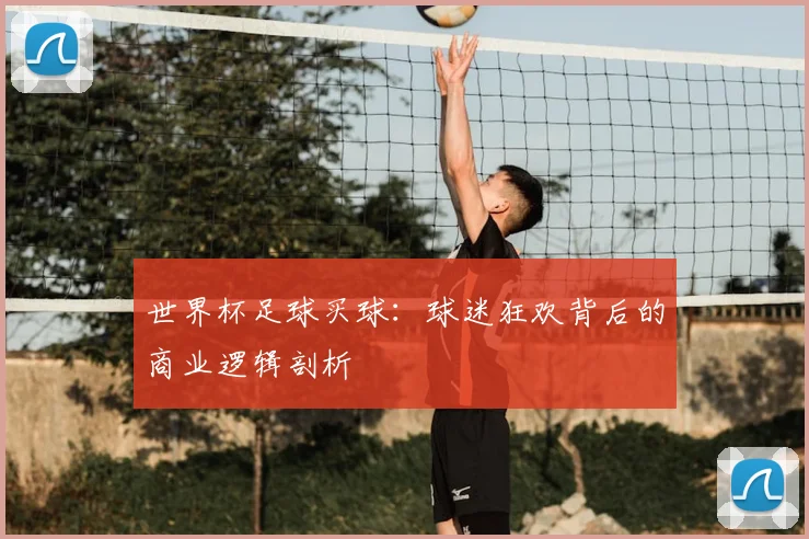 世界杯足球买球：球迷狂欢背后的商业逻辑剖析