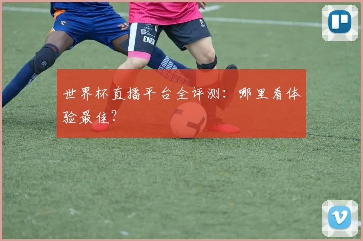 世界杯直播平台全评测：哪里看体验最佳？