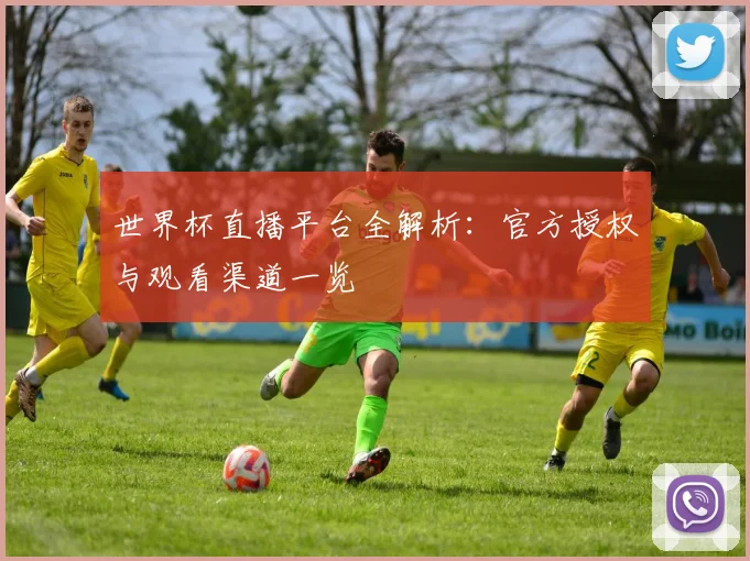 世界杯直播平台全解析：官方授权与观看渠道一览