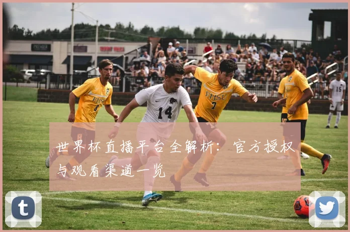 世界杯直播平台全解析：官方授权与观看渠道一览