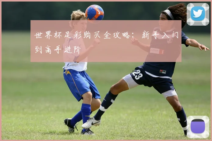 世界杯足彩购买全攻略：新手入门到高手进阶