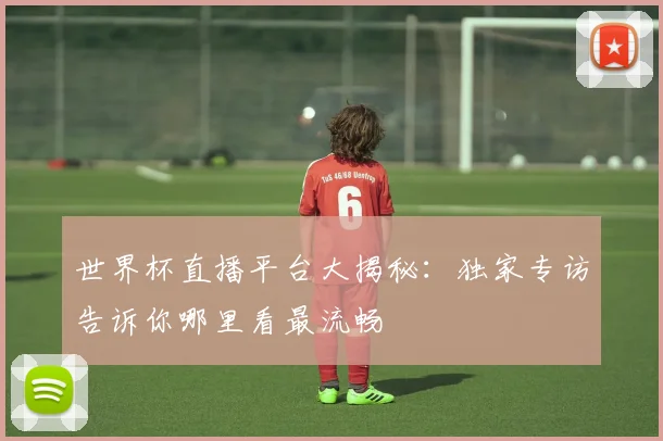 世界杯直播平台大揭秘：独家专访告诉你哪里看最流畅