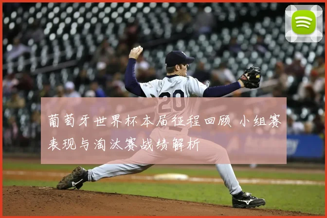 葡萄牙世界杯本届征程回顾 小组赛表现与淘汰赛战绩解析